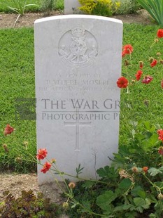 ANCONA WAR CEMETERY - RATHEBE MOSEBI, 